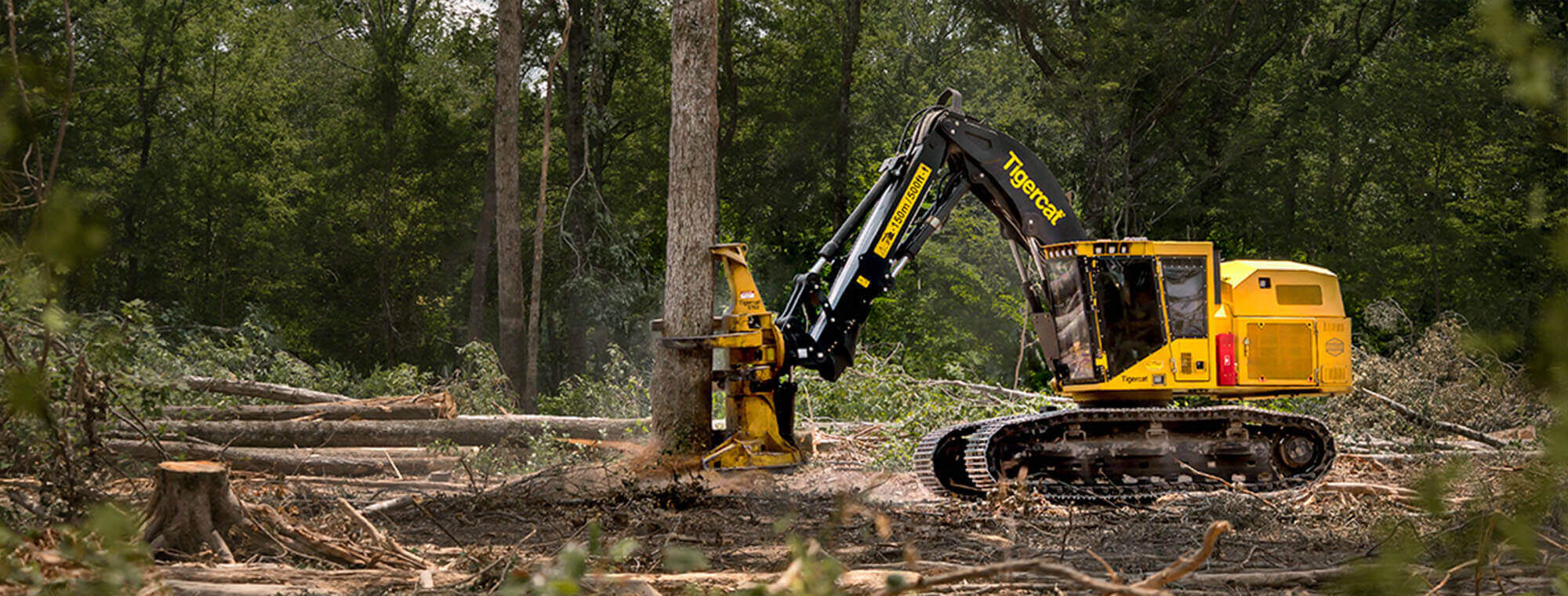 Tigercat Track Feller Buncher